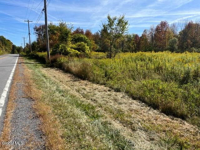 L27 Duanesburg Road, Duanesburg, NY, photo 4