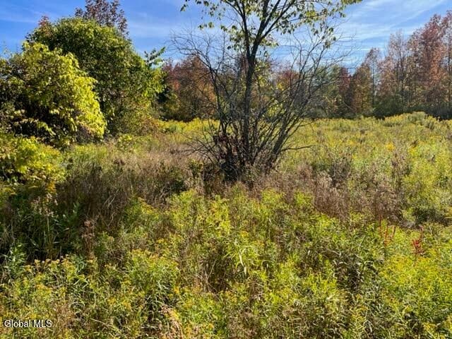 L27 Duanesburg Road, Duanesburg, NY, photo 3