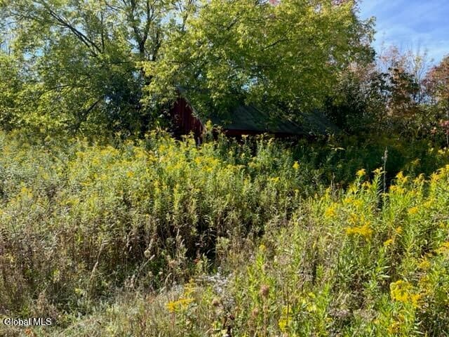 L16.4 Duanesberg Road, Duanesburg, NY, photo 5
