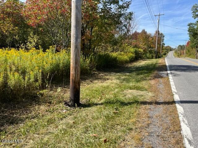 L16.4 Duanesberg Road, Duanesburg, NY, photo 4
