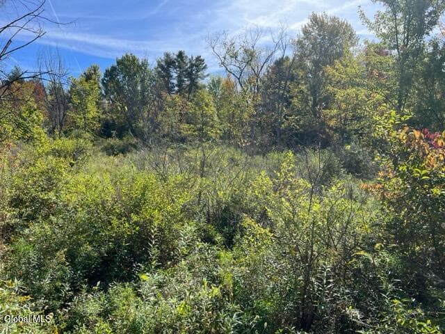L16.4 Duanesberg Road, Duanesburg, NY, photo 1