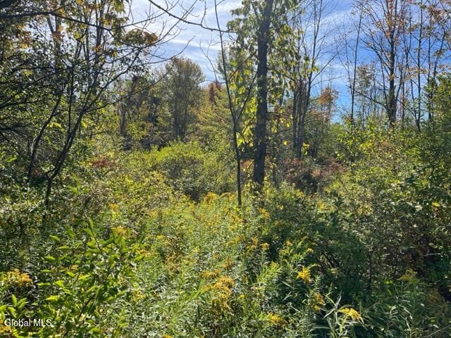 L16.4 Duanesberg Road, Duanesburg, NY, photo 3