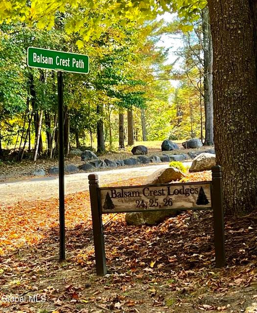 24 Balsam Crest Path, photo 3