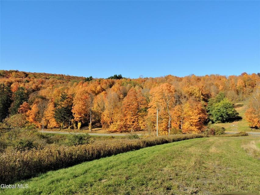 274 Bald Mountain Road, Brunswick, NY, photo 5