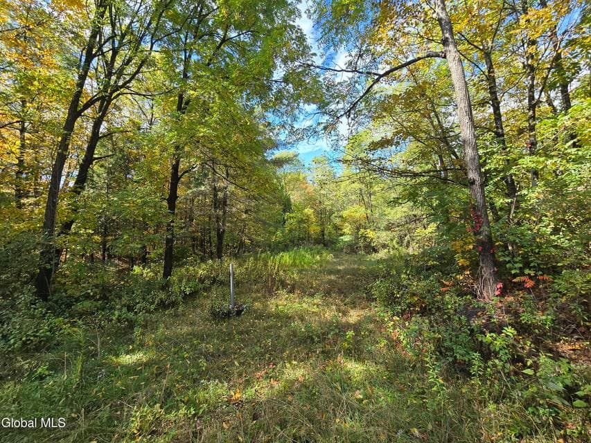 355 Grange Road, Greenfield, NY, photo 1