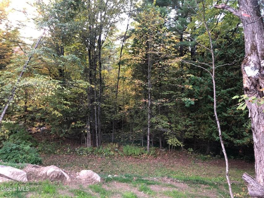 68 Lake View Avenue, Moriah, NY, photo 4