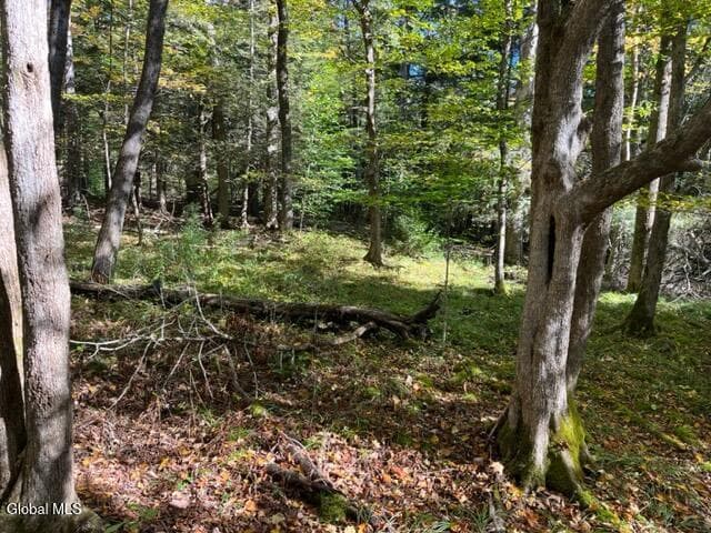 123 Wildwood Lane, photo 4