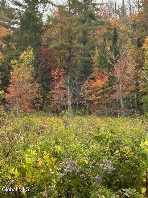 L22 North Road, Oppenheim, NY, photo 3