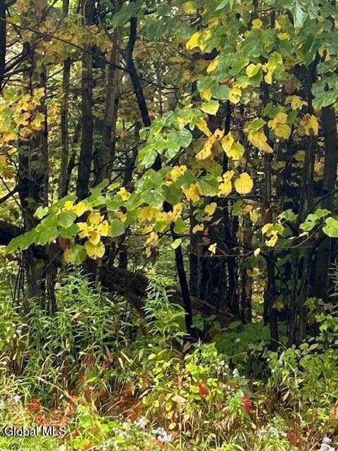 L22 North Road, Oppenheim, NY, photo 4