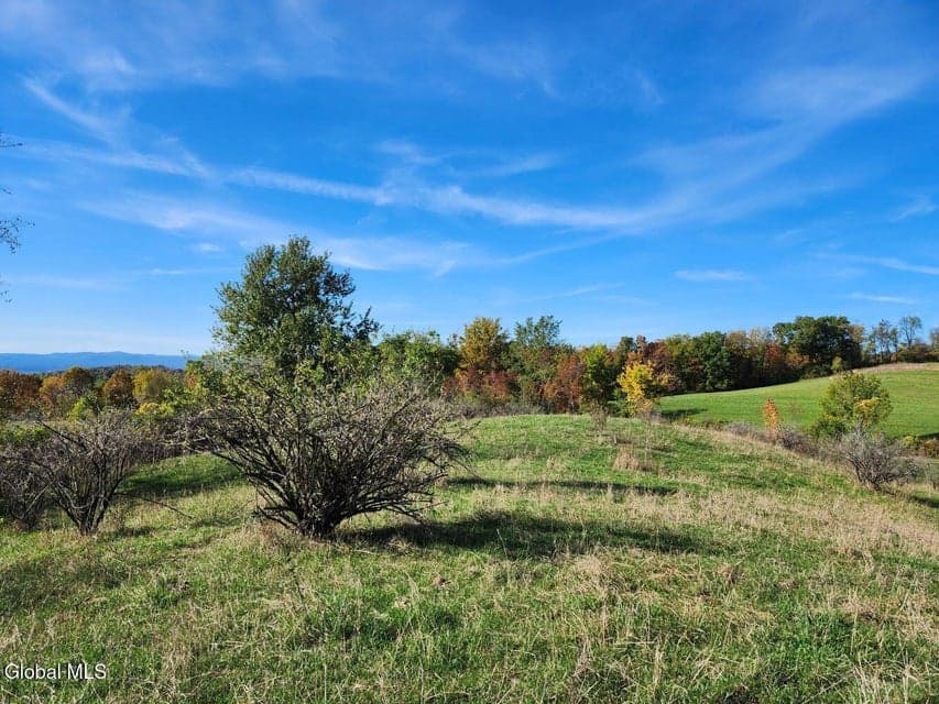 L4 Coot Hill Road, Argyle, NY, photo 5