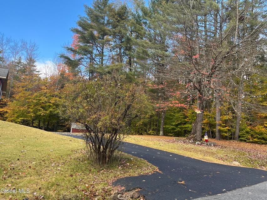 187 Pease Hill Road, Horicon, NY, photo 2