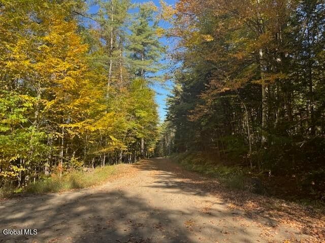 173 Cleveland Road, Johnsburg, NY, photo 5