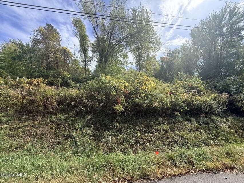 20 Dusenberry Lane, Brunswick, NY, photo 5