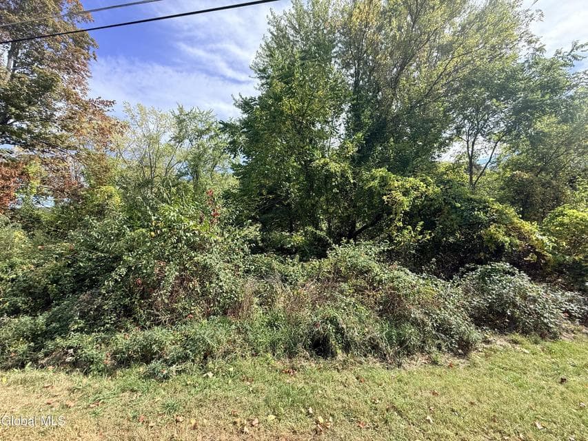 L27 Dusenberry Lane, Brunswick, NY, photo 5