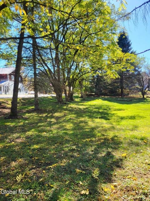 29 Hadley Road, photo 4
