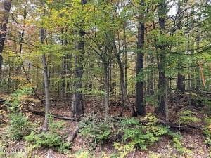 953 Warner Hill Road, Ticonderoga, NY, photo 4