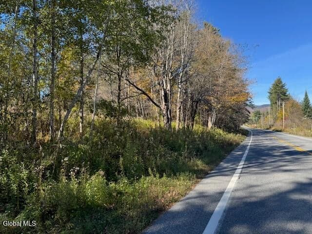 L12 St Rt 8, Johnsburg, NY, photo 2