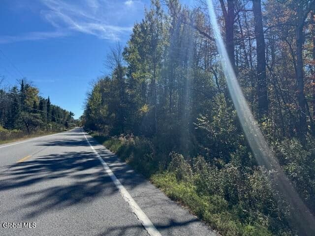 L12 St Rt 8, Johnsburg, NY, photo 3