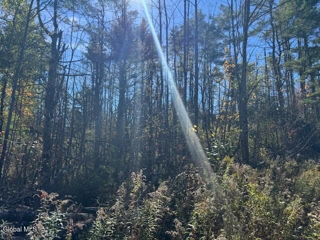 L12 St Rt 8, Johnsburg, NY, photo 4