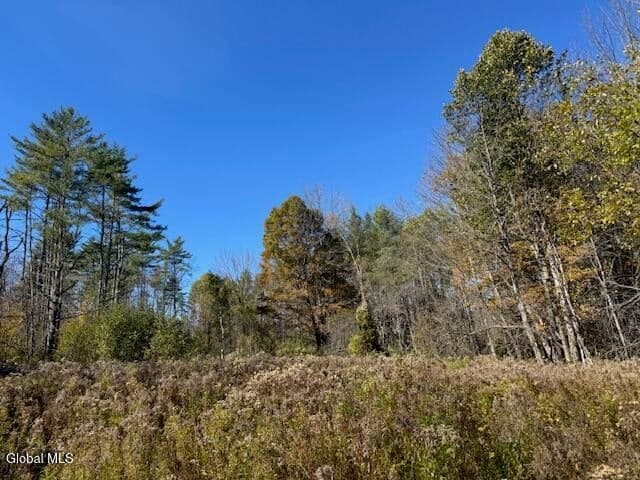 L12 St Rt 8, Johnsburg, NY, photo 5