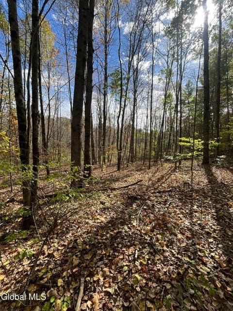 L5.2 Warner Road, Hebron, NY, photo 3