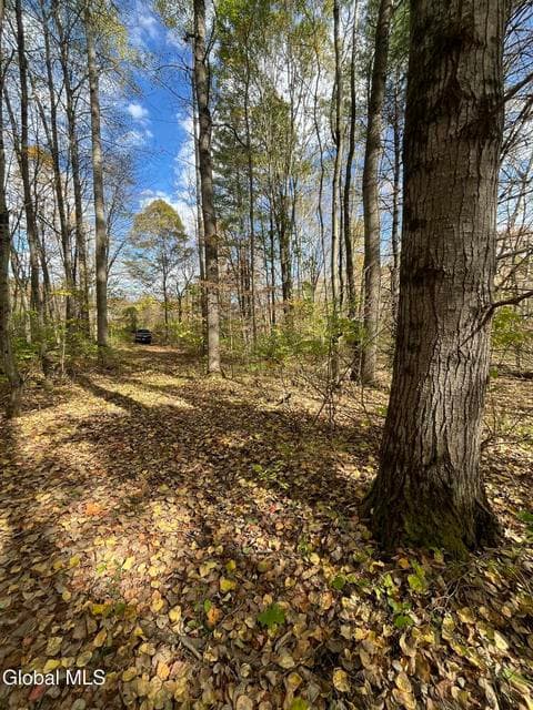 L5.2 Warner Road, Hebron, NY, photo 4