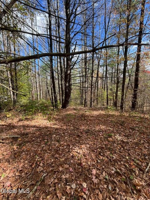 L5.2 Warner Road, Hebron, NY, photo 1