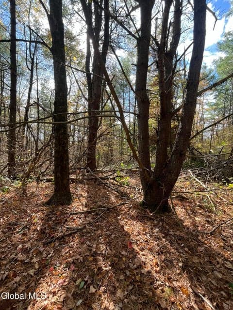 L5.2 Warner Road, Hebron, NY, photo 5