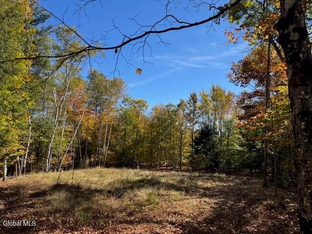 30 Mohican Trail, Johnsburg, NY, photo 1