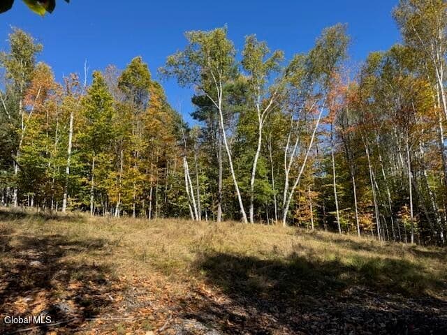 30 Mohican Trail, Johnsburg, NY, photo 2