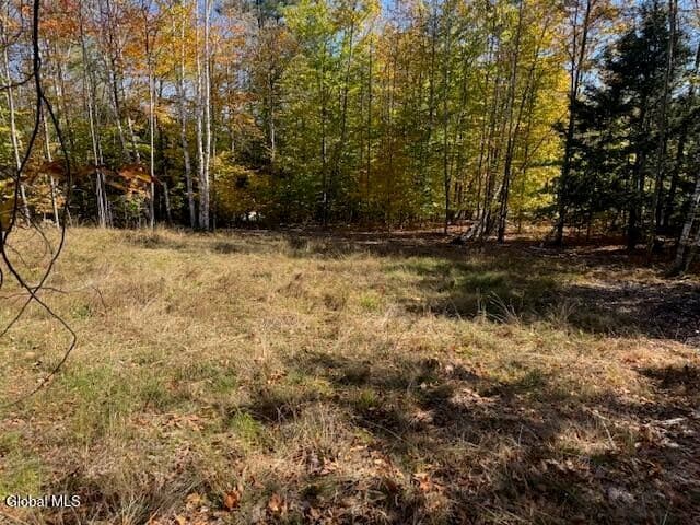 30 Mohican Trail, Johnsburg, NY, photo 3