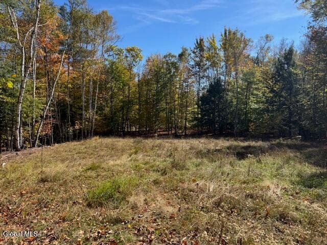 30 Mohican Trail, Johnsburg, NY, photo 4