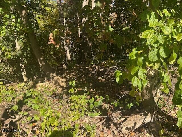 L12 Jane Drive, photo 4