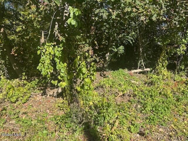 L12 Jane Drive, photo 5