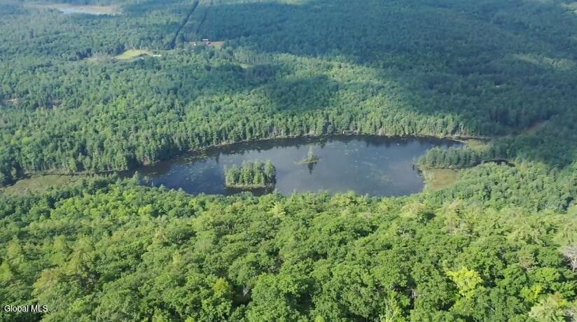 114 Mountain Path, Johnsburg, NY