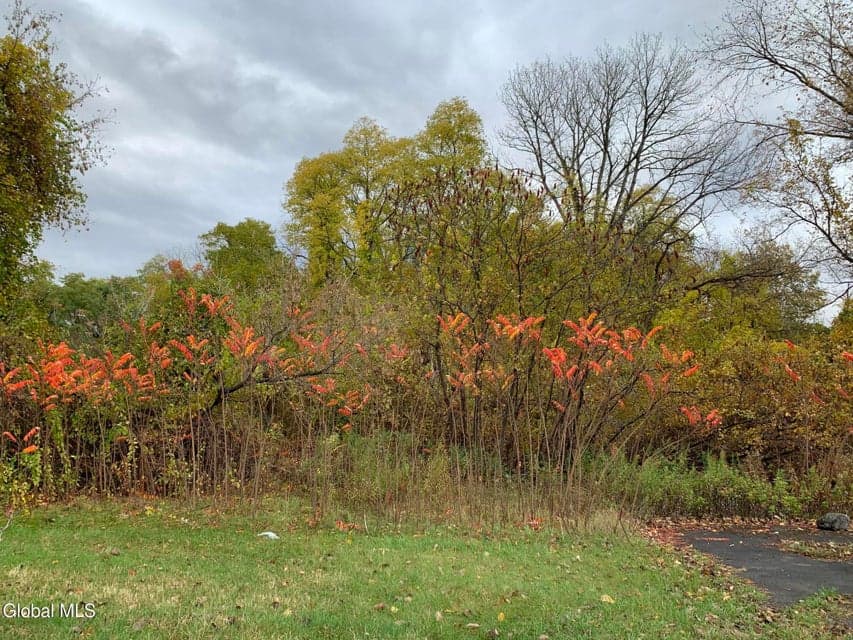1853 Route 9, Halfmoon, NY, photo 2