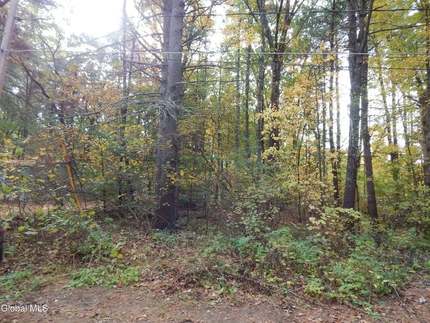 L1 Vincek Lane, Saratoga Springs, NY, photo 1
