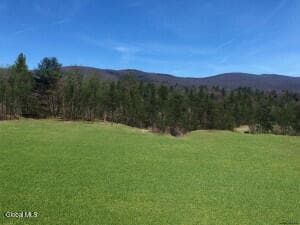 L35 West Road, Stephentown, NY, photo 1
