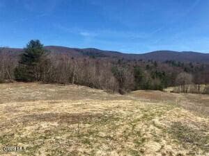 L35 West Road, Stephentown, NY, photo 2
