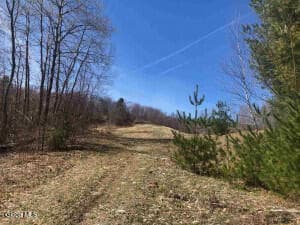 L35 West Road, Stephentown, NY, photo 3