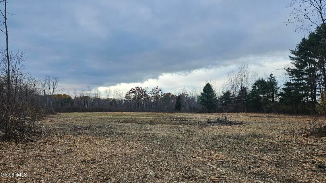 L36 Midline Road, Amsterdam, NY, photo 3
