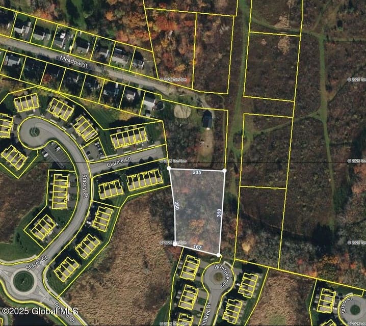 11 Landor Lane, Colonie, NY