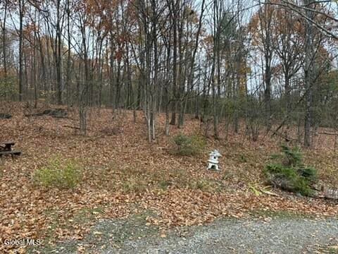 24 Haven Lane, Moriah, NY, photo 4