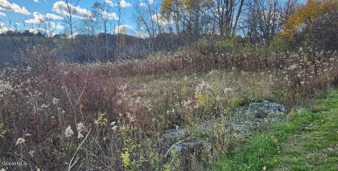 L46 Crystal View Way, Hebron, NY, photo 2