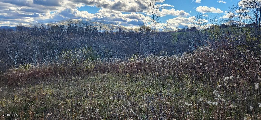 L46 Crystal View Way, Hebron, NY, photo 4