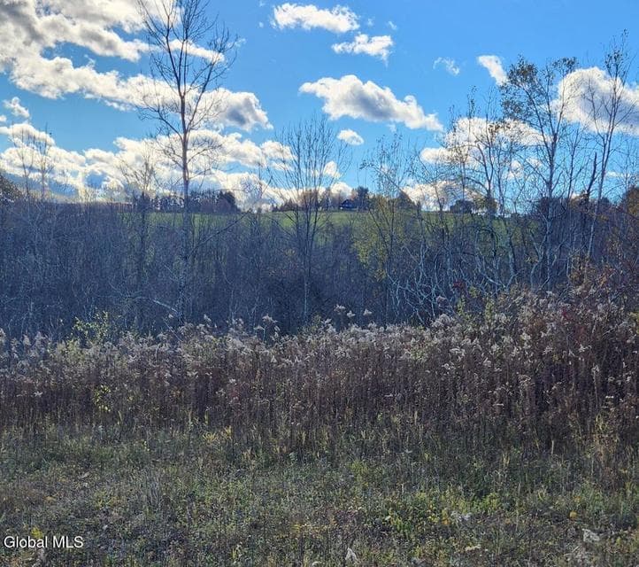 L46 Crystal View Way, Hebron, NY, photo 5