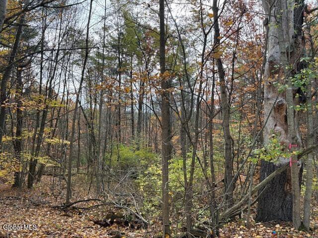 954A Route 9N, photo 1