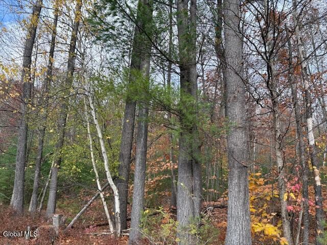 954A Route 9N, photo 2