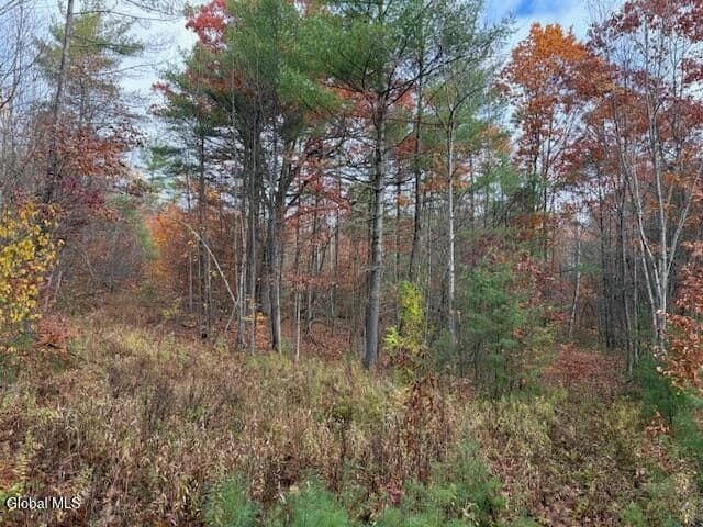 954A Route 9N, photo 3