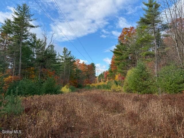 954A Route 9N, photo 4